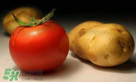 西紅柿能和土豆一起吃嗎？土豆可以和西紅柿一起吃嗎