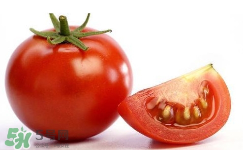 西紅柿不能和什么一起吃？西紅柿與哪些食物相克