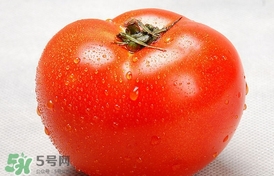 西紅柿能放冰箱冷藏嗎？西紅柿可以放冰箱保鮮嗎