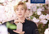 鹿晗代言了歐舒丹嗎？歐舒丹的代言人是鹿晗嗎？