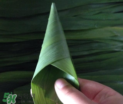 粽子葉能冷凍嗎？粽子葉放冰箱冷藏還是冷凍？