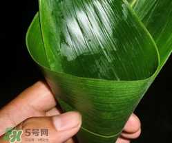 粽子葉能冷凍嗎？粽子葉放冰箱冷藏還是冷凍？