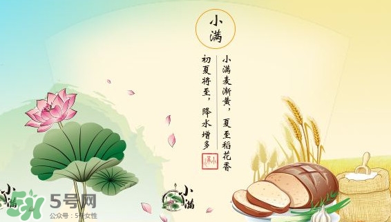 節(jié)氣小滿大滿是什么意思？24節(jié)氣為什么沒有大滿
