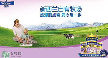 安滿滿睿幼兒配方奶粉怎么樣？安滿滿睿奶粉怎么沖？
