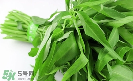 空心菜可以生吃嗎？空心菜能生吃嗎