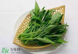空心菜能和雞蛋一起吃嗎？雞蛋可以和空心菜一起吃嗎