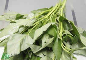 空心菜可以生吃嗎？空心菜能生吃嗎