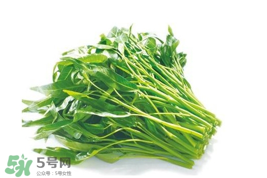 空心菜有毒嗎？空心菜需要焯水嗎？