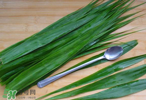 粽葉是蘆葦葉嗎？粽葉和蘆葦葉的區(qū)別