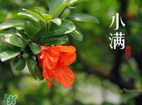 ?小滿可以回娘家嗎？?小滿能回娘家嗎？
