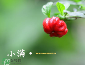?小滿可以回娘家嗎？?小滿能回娘家嗎？