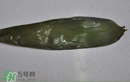 粽葉怎么曬干？粽葉怎么曬干不卷？