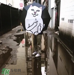 ripndip是什么牌子？ripndip是什么檔次？