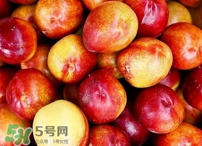 桃子的種類有哪些？哪種桃子最好吃？