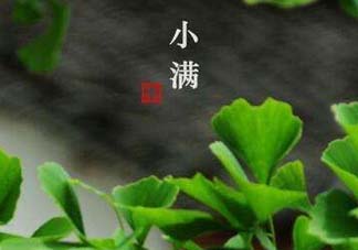 ?小滿(mǎn)可以回娘家嗎？?小滿(mǎn)能回娘家嗎？