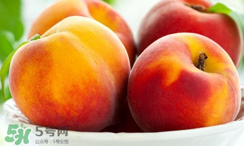 桃子的種類有哪些？哪種桃子最好吃？