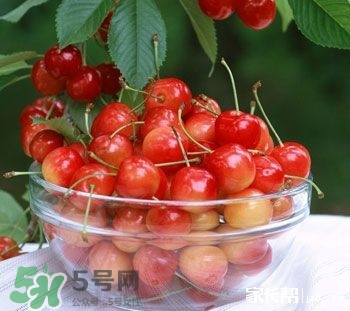 櫻桃是熱性還是涼性？櫻桃能多吃嗎？