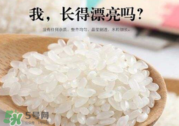 大米可以包粽子嗎？包粽子大米要泡多久？