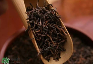 普洱茶能不能天天喝？天天喝普洱茶好嗎？