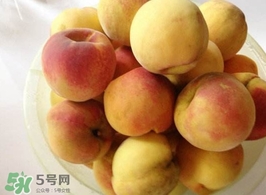 黃桃是杏子嗎？黃桃和杏子的區(qū)別