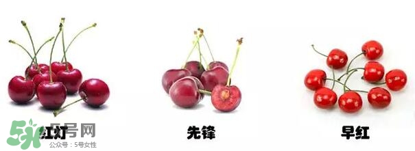 櫻桃和車?yán)遄佑惺裁磪^(qū)別？櫻桃和車?yán)遄幽膫€(gè)貴？