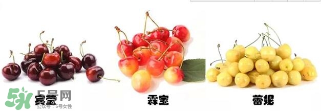 櫻桃和車?yán)遄佑惺裁磪^(qū)別？櫻桃和車?yán)遄幽膫€(gè)貴？