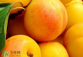 黃桃是什么季節(jié)的？黃桃是轉(zhuǎn)基因的嗎