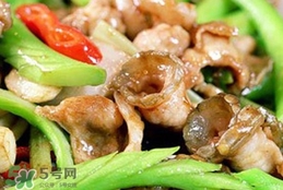 鱷魚肉有毒嗎？鱷魚肉有寄生蟲嗎
