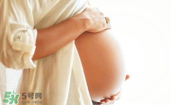 孕婦可以吃肉松蛋糕嗎？孕婦能吃肉松面包嗎