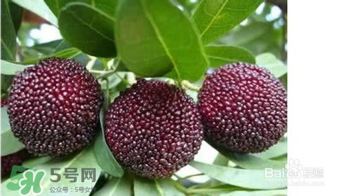 楊梅怎么吃好吃？楊梅怎么吃不酸？