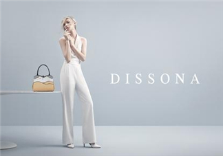 dissona是什么牌子？dissona迪桑娜是哪個(gè)國(guó)家的品牌？