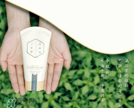 百雀羚三生花洗面奶多少錢？百雀羚三生花洗面奶價(jià)格