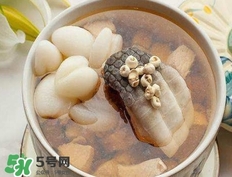鱷魚肉燉湯要去皮嗎？鱷魚肉煲湯新鮮的好還是干的好