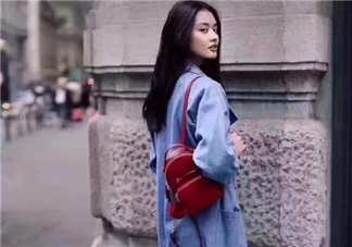 dissona貓咪包正品多少錢？迪桑娜貓咪包專柜價格