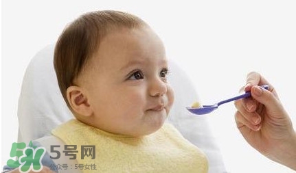 寶寶幾個月可以吃肉松？寶寶多大可以吃肉松