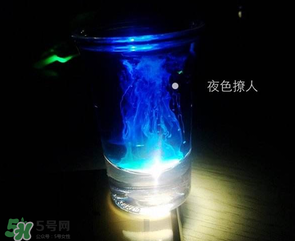 僵尸雞尾酒配方是什么？僵尸雞尾酒配方做法