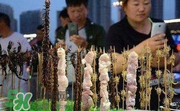 鱷魚肉價格多少錢一斤？吃鱷魚犯法嗎？