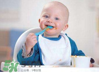寶寶幾個月可以吃肉松？寶寶多大可以吃肉松
