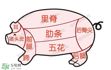 后臀尖多少錢一斤？豬后臀尖在哪？