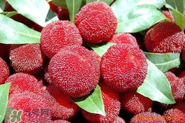 楊梅吃多了會上火嗎？楊梅吃多了會胖嗎？