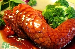 鱷魚(yú)肉是寒性的嗎？ 鱷魚(yú)肉是寒性還是溫性？