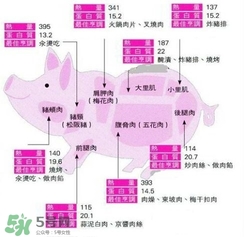 里脊肉是哪個(gè)部位？里脊肉是哪里的肉