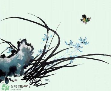 空谷幽蘭是什么書？空谷幽蘭講的是什么？
