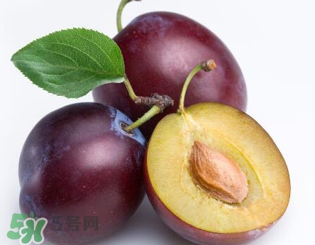 三華李可以放多久？三華李可以冷藏嗎？