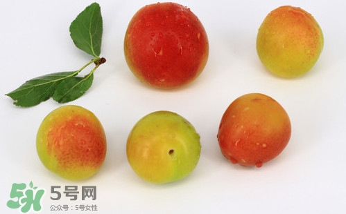 雙華李有什么營養(yǎng)？雙華李的營養(yǎng)價值