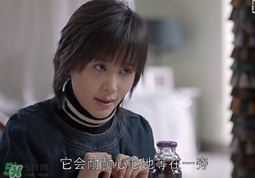 蒼蠅粉是什么意思？蒼蠅粉是什么東西？
