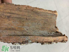 安哥拉樹皮的功效 安哥拉樹皮怎么用？