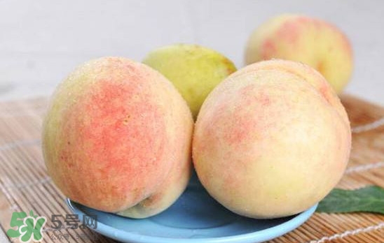 陽山水蜜桃多少錢一斤？無錫陽山水蜜桃價格
