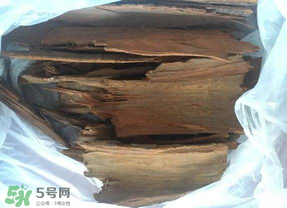 安哥拉樹皮能天天吃嗎？安哥拉樹皮天天吃可以嗎？