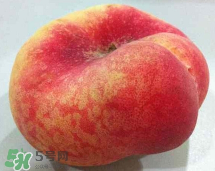 盤桃是蟠桃嗎？盤桃和蟠桃一樣嗎